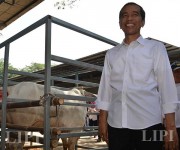 Kunjungan Presiden Joko Widodo ke Peternakan Sapi Karya Anugerah Rumpin